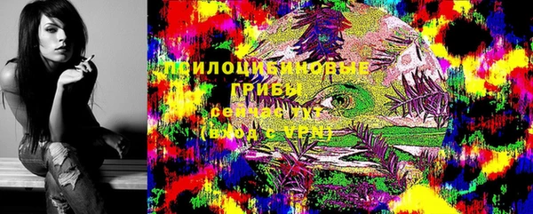 мяу мяу мука Алзамай